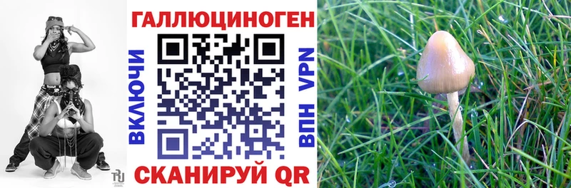 Псилоцибиновые грибы Cubensis  купить наркотики сайты  Новодвинск 